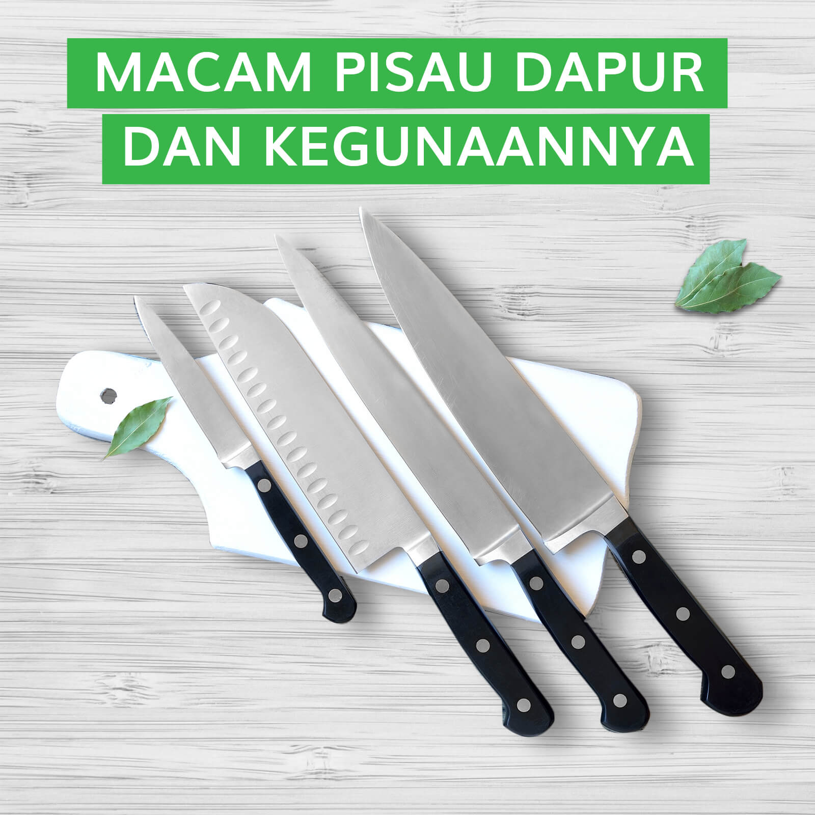 Macam Pisau Dapur Dan Kegunaannya So Good